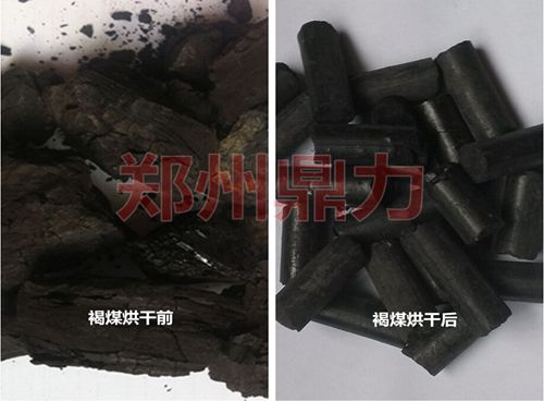 褐煤烘干前后对比.jpg